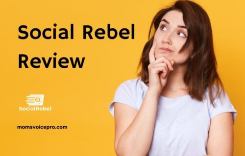 Social Rebel Reviews