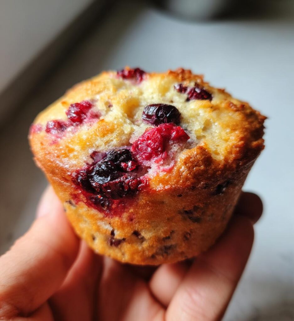 healthy breakfast muffins with protein